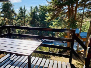 Chalet cosy 2 chambres au bord de la forêt Puyvalador